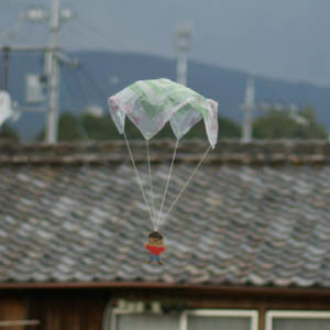 para1-300.jpg