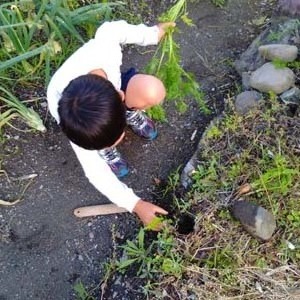 2018-00-3.jpg