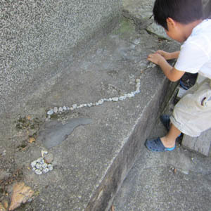 awa8.jpg
