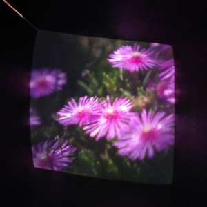 camera6.jpg