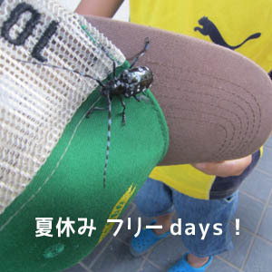 freedays01.jpg
